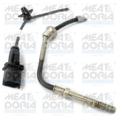Sensor, exhaust gas temperature